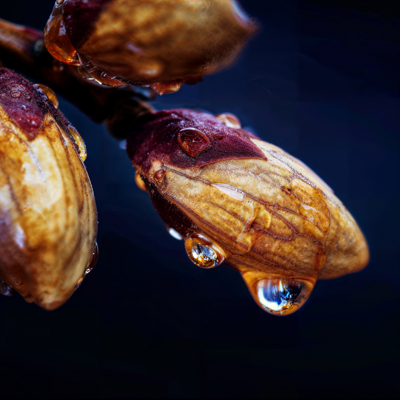 Almond Oil